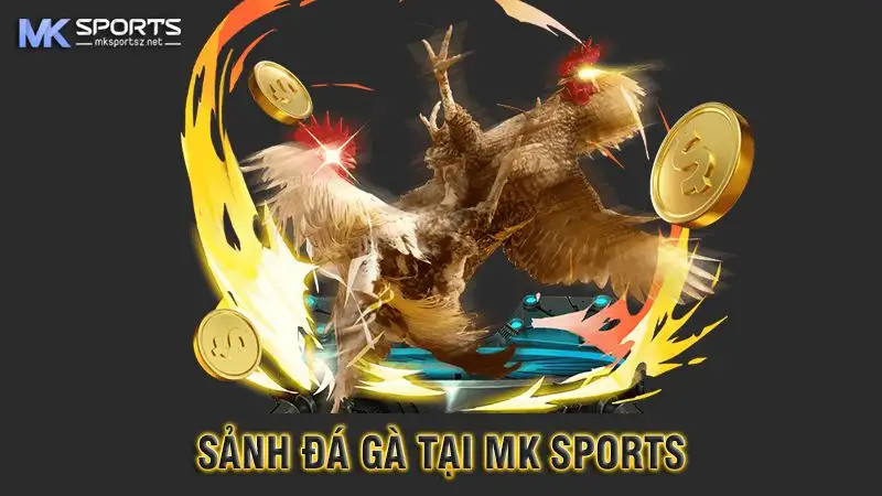 Đá Gà MK Sports – Sân Chơi Đỉnh Cao Dành Cho Kê Thủ