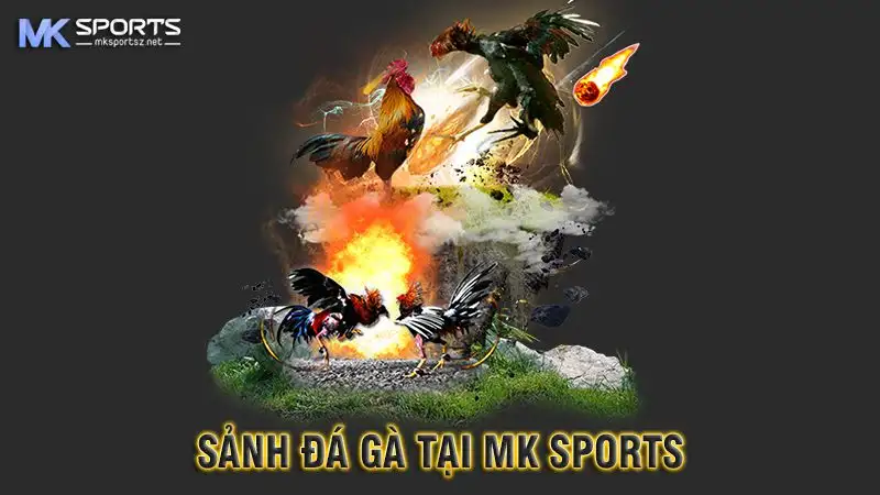 Những ưu điểm nổi bật của sảnh đá gà MK Sports