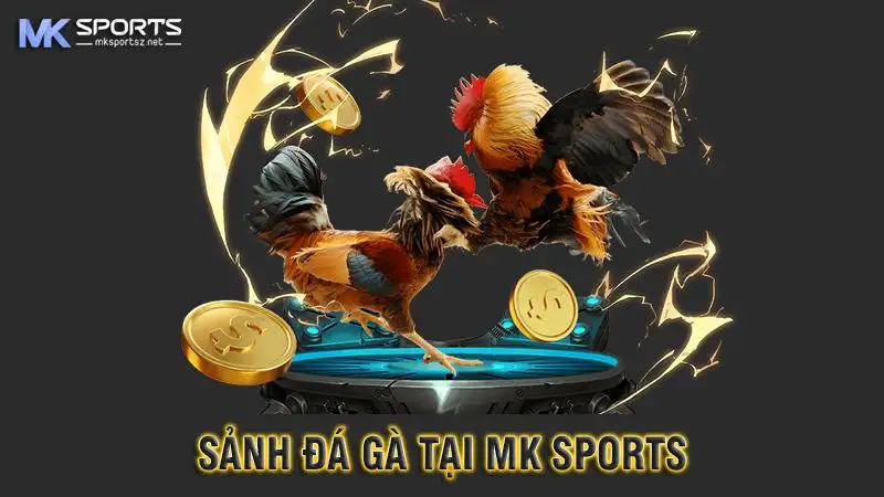 Những loại hình đá gà MK Sports