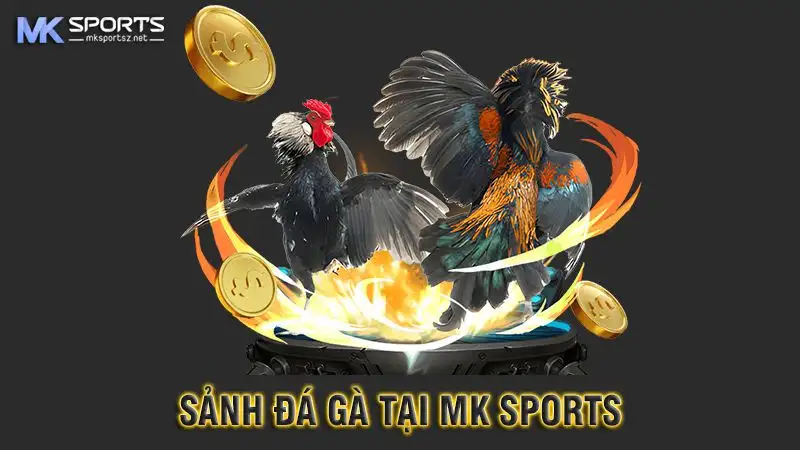 Một số bí quyết chơi đá gà MK Sports bất bại